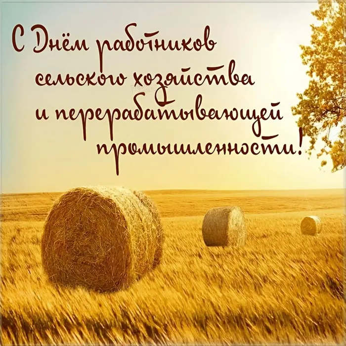 photo1760275224